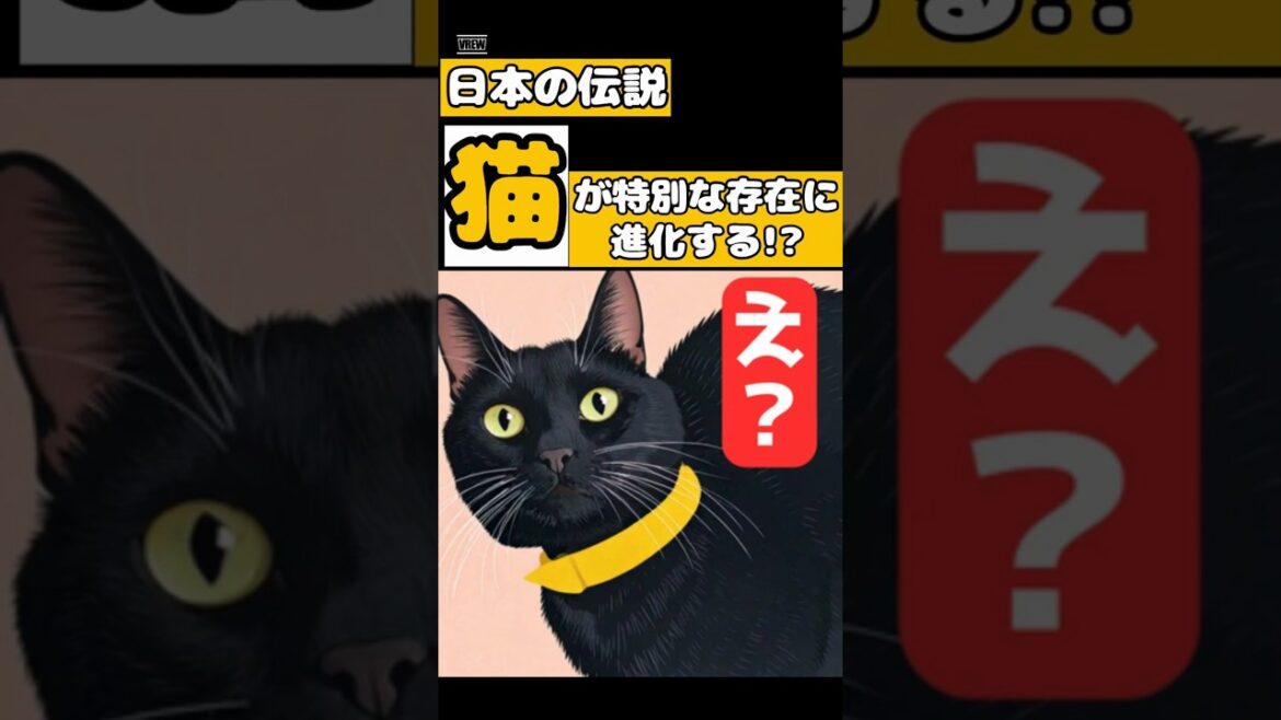 【感動】猫が旅立っても…!? 【感動】猫が旅立っても…!?