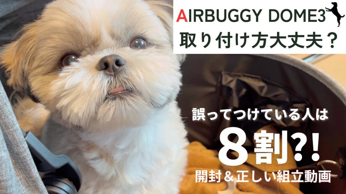 【検証 女性1人でエアバギー組立できる?】シーズーはゆるーく見守り担当!組み立てのコツやよくある注意点とは?shihtzu watches mom’s building airbuggy dome3 【検証 女性1人でエアバギー組立できる?】シーズーはゆるーく見守り担当!組み立てのコツやよくある注意点とは?shihtzu watches mom's building airbuggy dome3