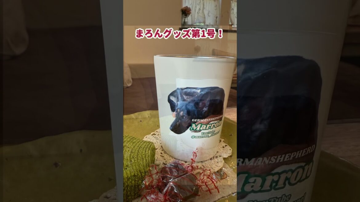 ㊗️まろんグッズ第1号！ #germanshepherd #ジャーマンシェパード #大型犬のいる生活 #シェパード #suzuri