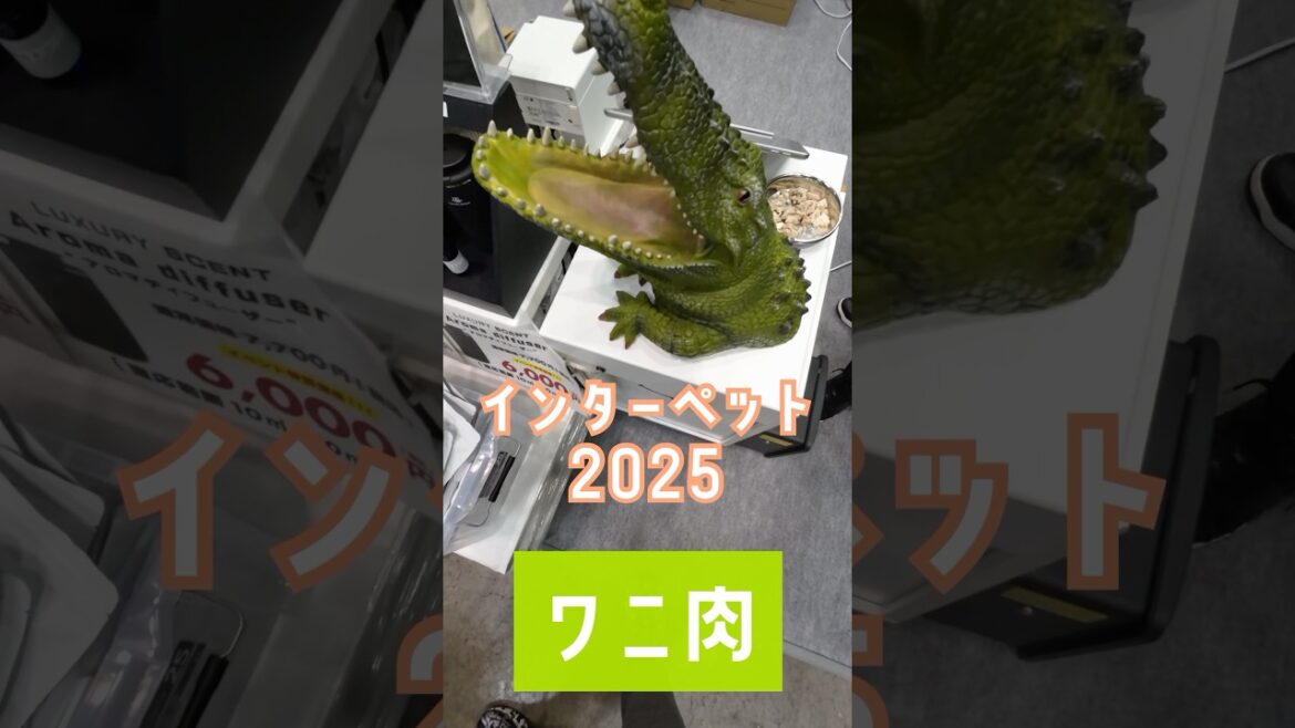 インターペット2025で今年もワニ肉を食したり　#すみぞ #スキッパーキ #チワワ #ミックス犬 #interpet