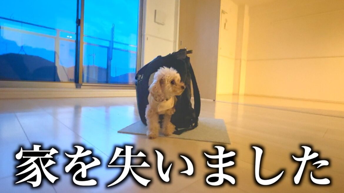 最後のお別れをしてきました 最後のお別れをしてきました