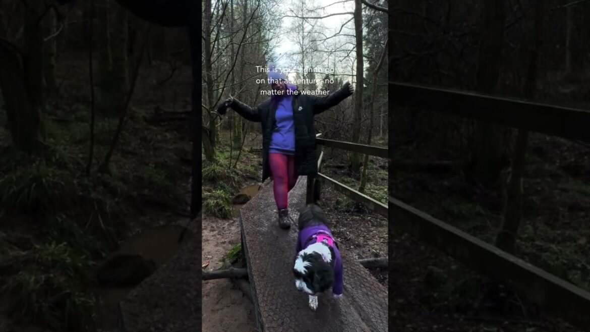 Where's your favourite place to go to with your pup? 🗺️⁠ ⁠