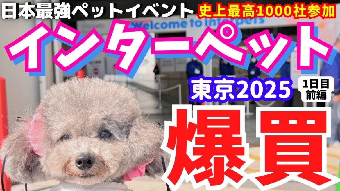 【インターペット2025】速報!日本最大級のペットイベントで爆買い&無料サンプルに大興奮🐶【東京ビッグサイト】【犬イベント】1日目前編 【厳選出展者31社紹介・過去最多950社】 【インターペット2025】速報!日本最大級のペットイベントで爆買い&無料サンプルに大興奮🐶【東京ビッグサイト】【犬イベント】1日目前編 【厳選出展者31社紹介・過去最多950社】