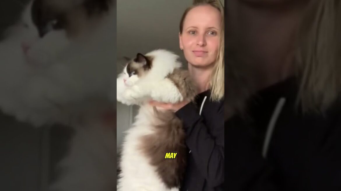The Perfect Mix of Puppy & Kitty