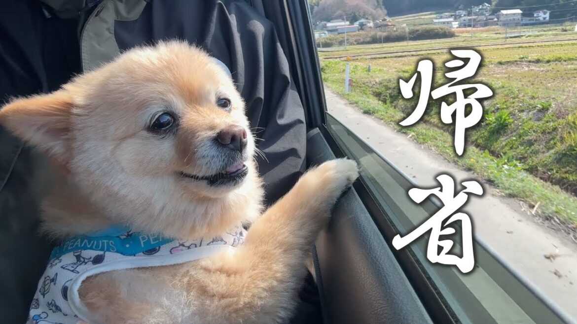 【ご報告】家庭の事情で福島の実家に帰ることになりました… 【ご報告】家庭の事情で福島の実家に帰ることになりました…