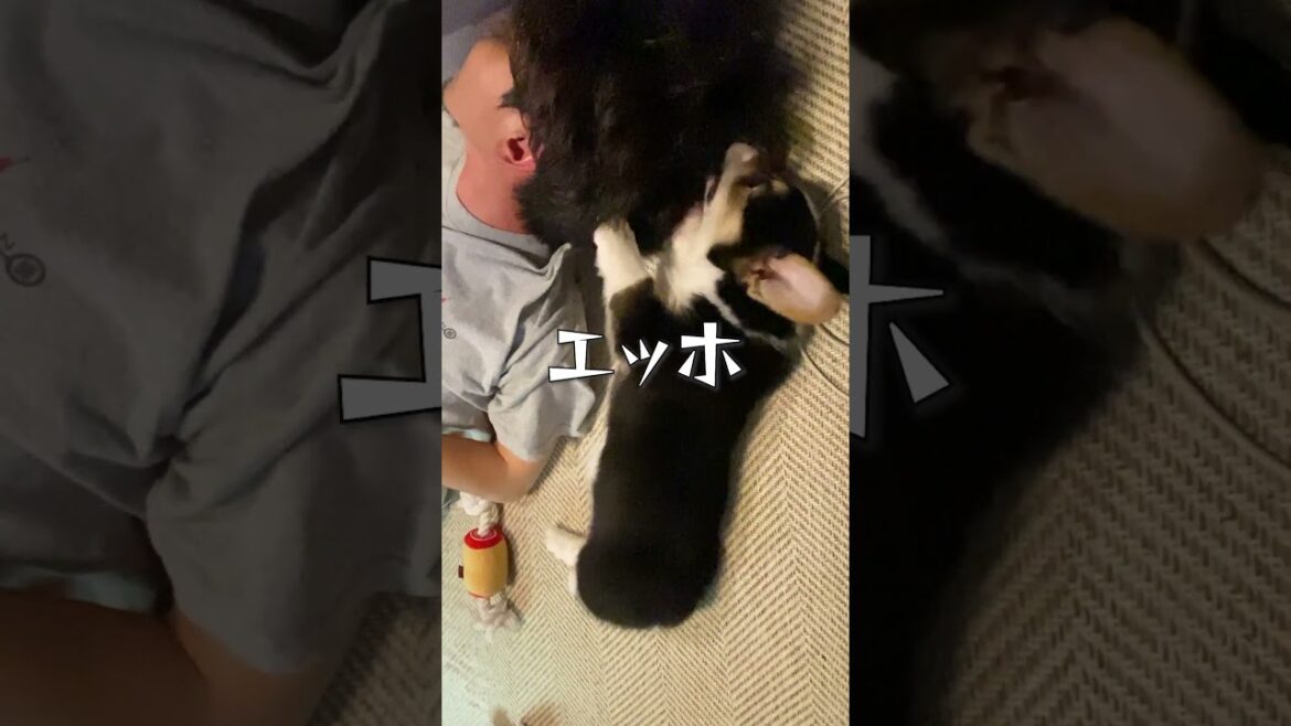 みんなに伝えなきゃ！！！！！！ #shorts