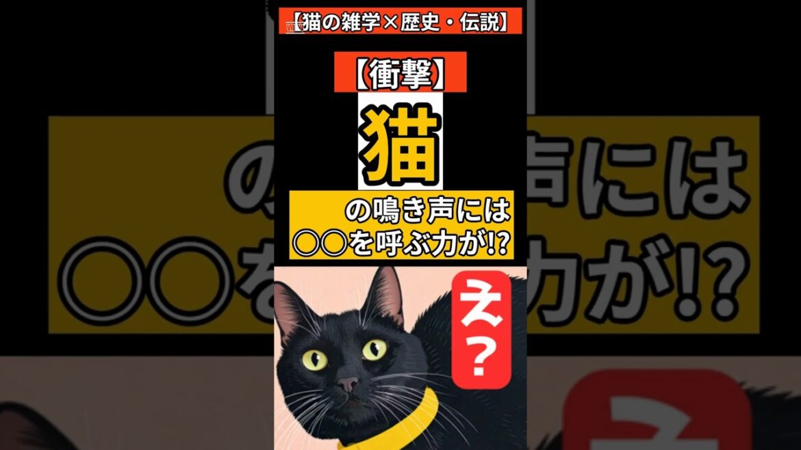 【皆が知らない猫の言い伝え】猫の鳴き声には○○を呼ぶ力が!?　#shorts