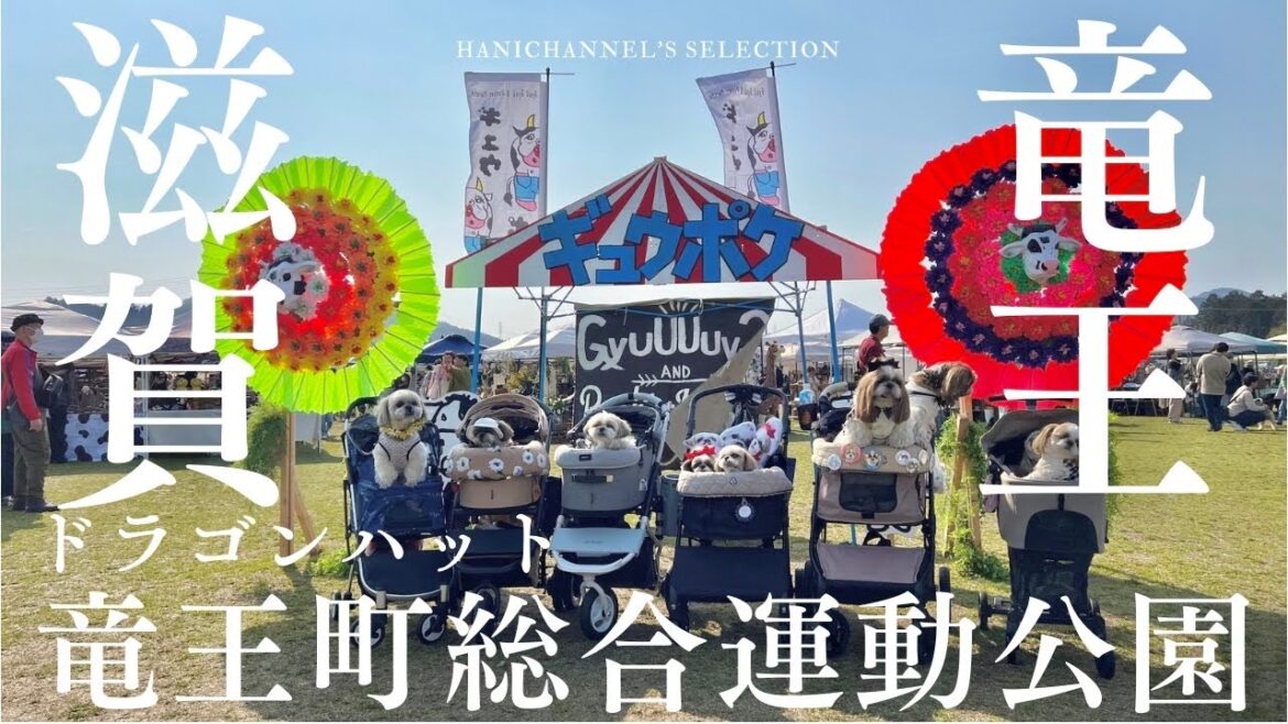 【滋賀竜王】シーズー犬と「ギュウポケマルシェ」へ！関西のペット連れで行けるイベントをご紹介！/ 竜王町総合運動公園 / ドラゴンハット