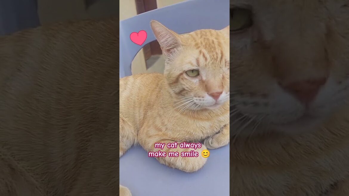 twinkle makes my day beautiful ❤️#😘