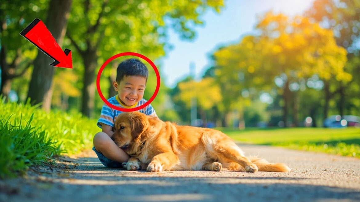 ゴールデンレトリバーがダウン症の迷子の男の子を発見。この反応はあなたを泣かせます！