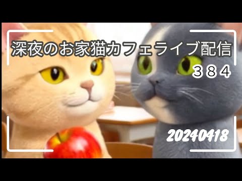 深夜のお家猫カフェライブ配信 384 深夜のお家猫カフェライブ配信 384