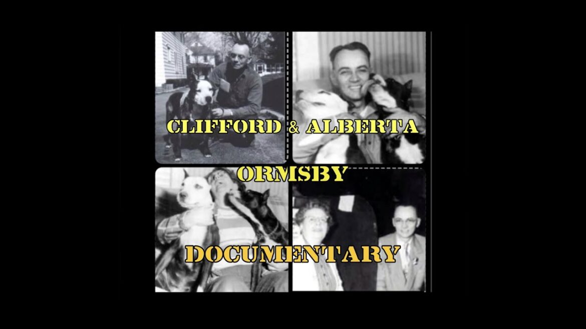 クリフォード＆アルバータ・オームズビーのX-Pertアメリカン・スタッフォードシャー・テリアの世界のドキュメンタリー #apbt Line