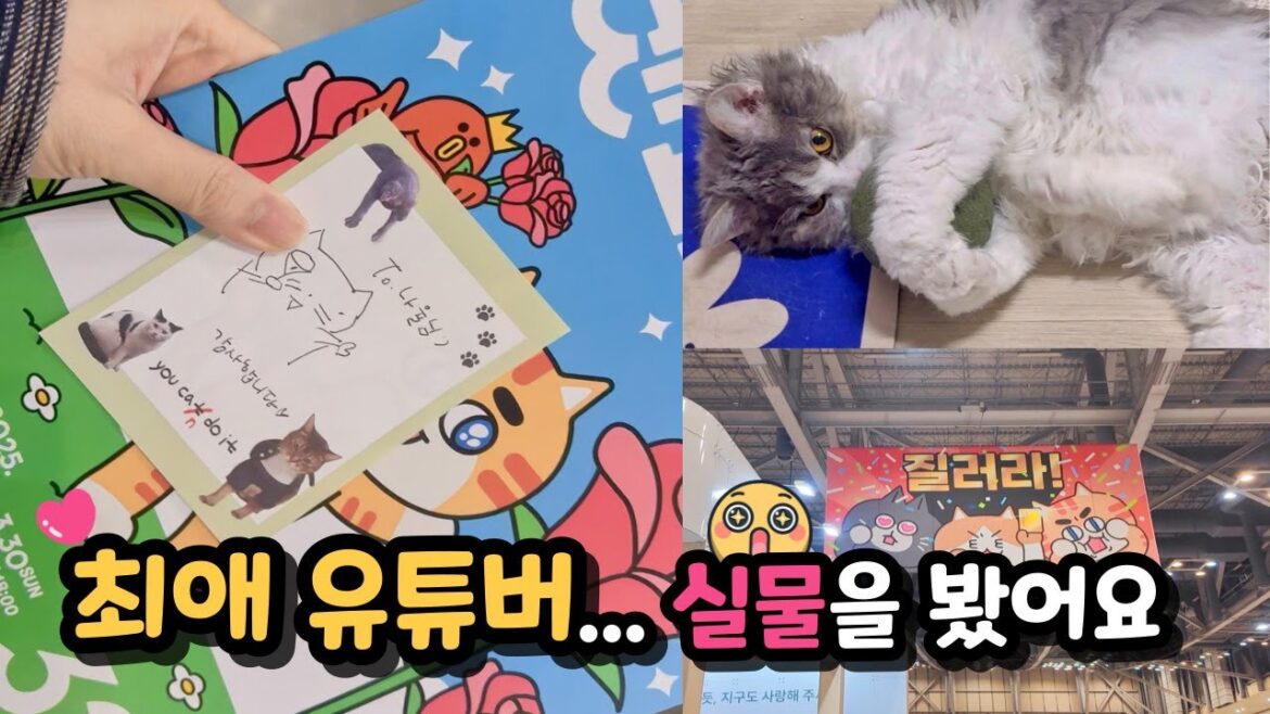 최애 유튜버 실물 처음 봤는데... 울뻔했어요