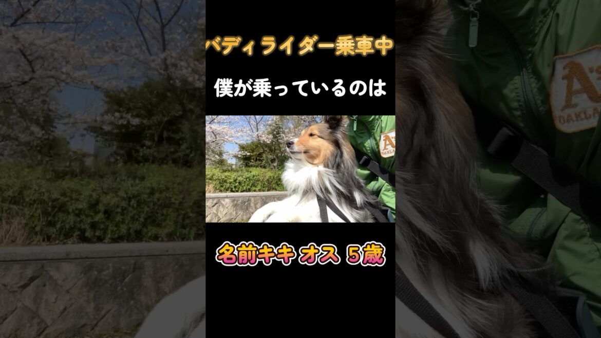 2025年4月12日