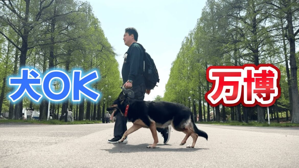 愛犬もパビリオンに入れる“幻の万博”に行ってみたら、スゴかったw