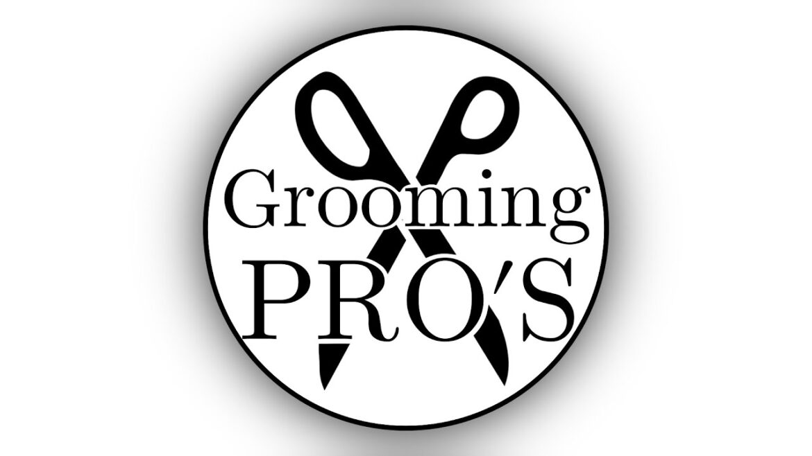 How to Groom a Dog like a Professional