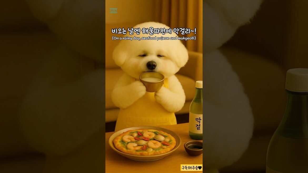 비오는날엔 해물파전에 막걸리~! On a rainy day, seefood pancake and korea rice wine! 雨の日は海鮮チヂミにマッコリ~!#bichonfrise 비오는날엔 해물파전에 막걸리~! On a rainy day, seefood pancake and korea rice wine! 雨の日は海鮮チヂミにマッコリ~!#bichonfrise