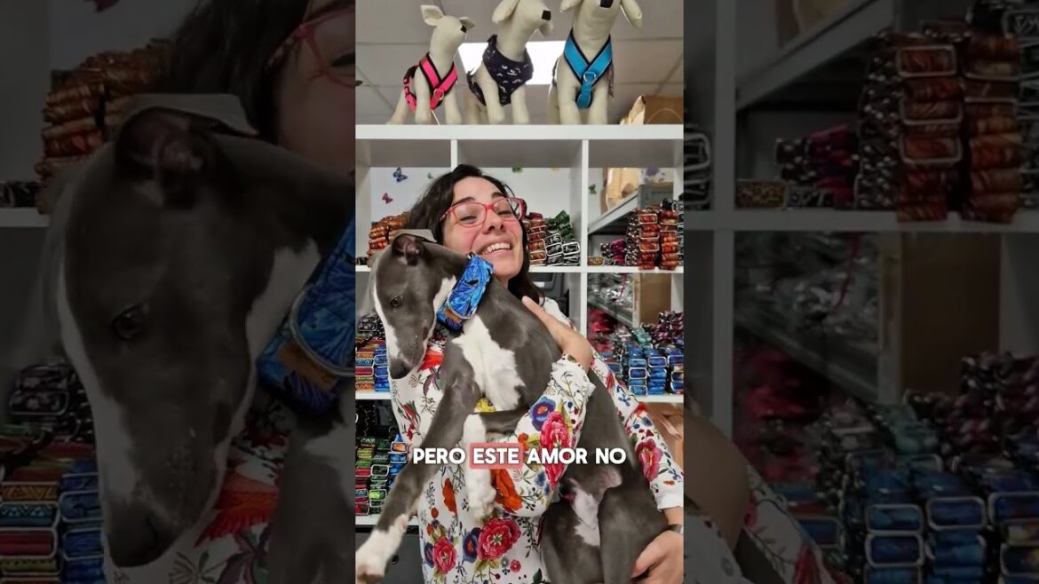 Podrán llamarnos locas😍 Podrán llamarnos locas😍