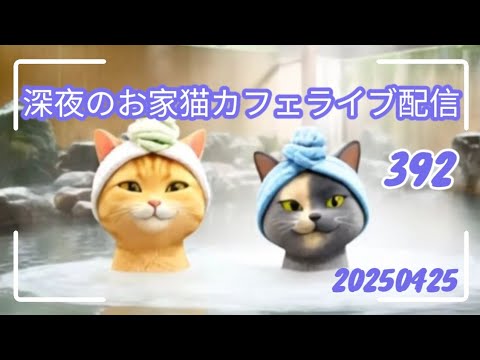 深夜のお家猫カフェライブ配信 393 深夜のお家猫カフェライブ配信 393