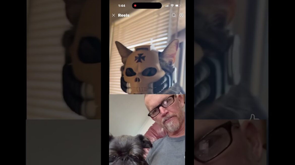 ハンクの猫ヘルメットアドベンチャー:POVカメラテスト?! ハンクの猫ヘルメットアドベンチャー:POVカメラテスト?!