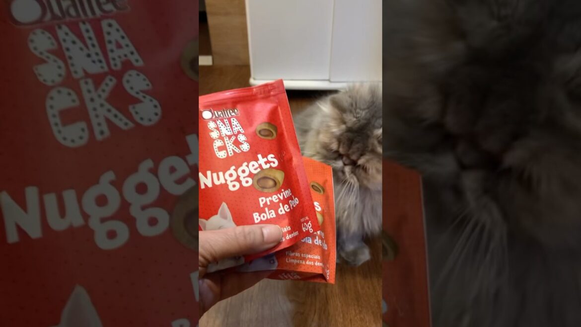 Esse é o petisco que não pode faltar para o seu gato! #gateiros #gatos #gato #pelo #vidadegato
