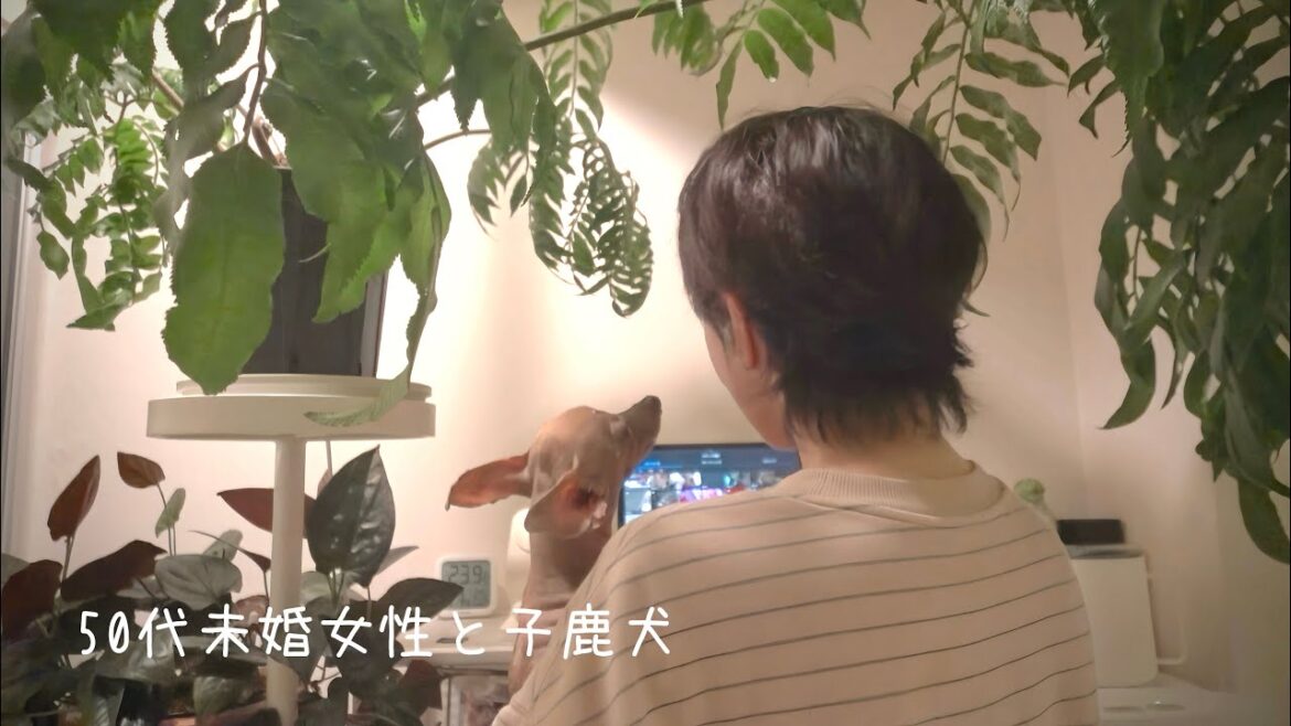 50代、未婚、子なし。金曜の夜から始まる最愛のパートナーと心の休息を大切に過ごす週末【ミニピン】
