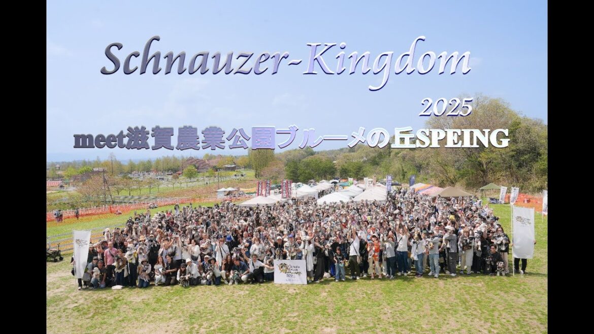シュナウザーキングダム 2025 meets 滋賀農業公園ブルーメの丘 SPRINGに行ってきました