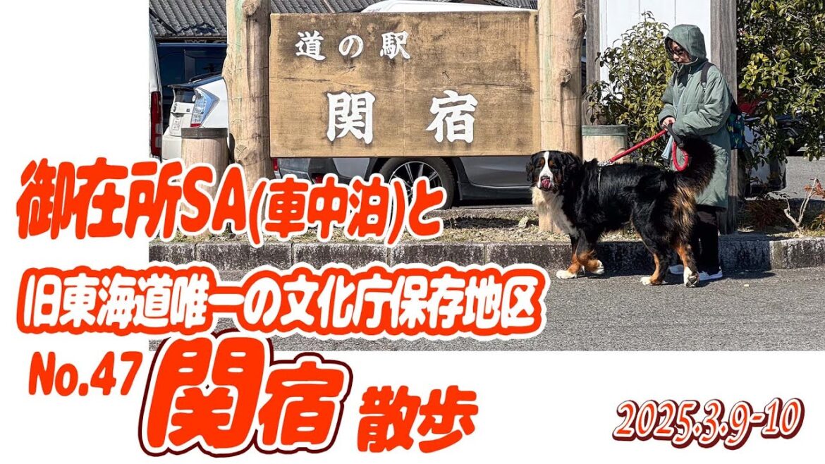 御在所SAで車中泊、ドッグランよりクルマが好きなバーニーズ(^^;／旧東海道「関宿」を散歩！／大型犬散歩