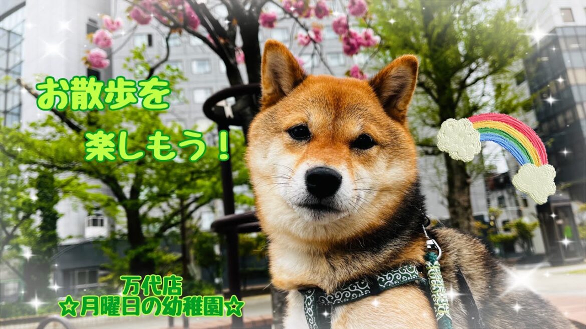 【幼稚園】万代店☆月曜日の幼稚園☆ 【幼稚園】万代店☆月曜日の幼稚園☆