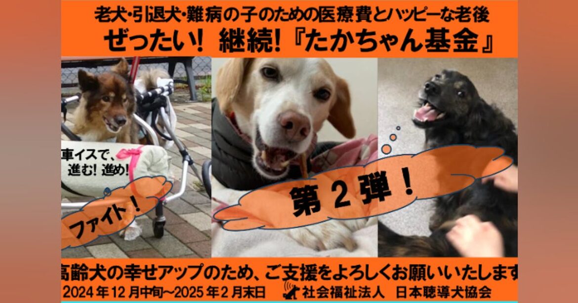 ぜったい！　聴導犬・介助犬支えた子達の『たかちゃん(医療)基金』を継続したい - CAMPFIRE (キャンプファイヤー)