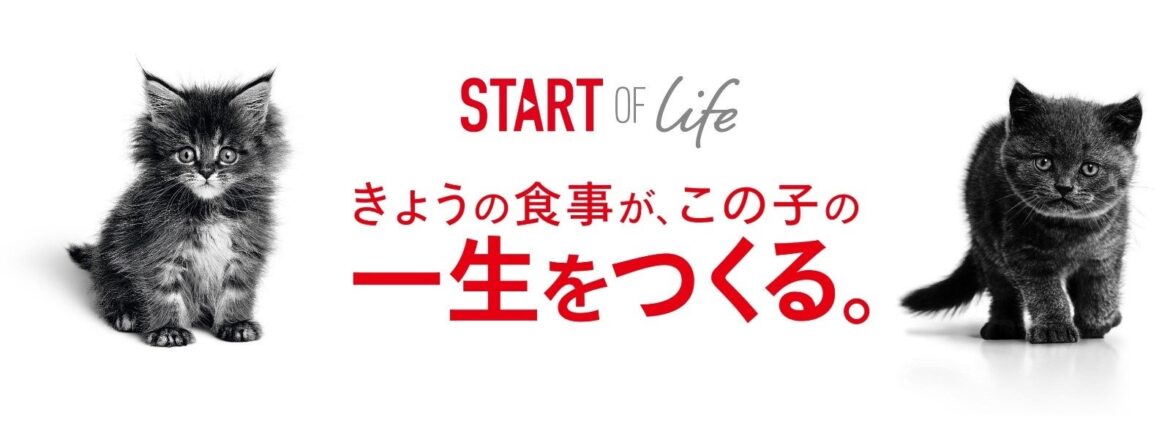 きょうの食事が、この子の一生をつくる。ロイヤルカナン、「Start of Life キャンペーン」を今年も実施 | ロイヤルカナン ジャポン合同会社のプレスリリース