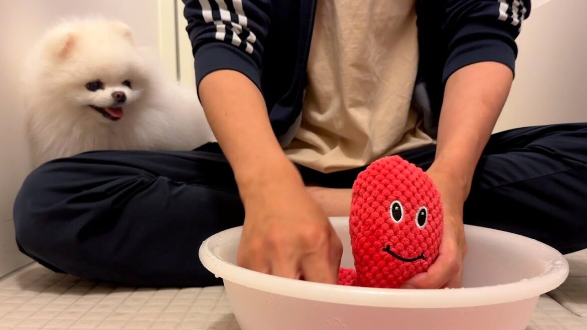 いつまでも毎日一緒に楽しく遊ぶために