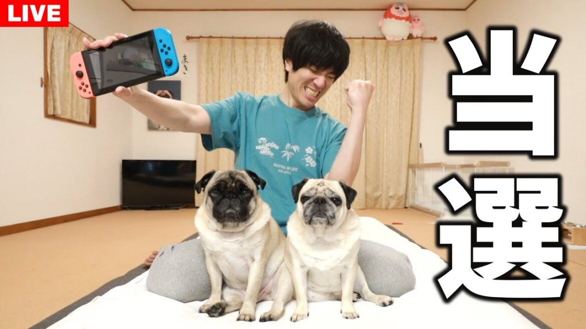 【ご報告】ヤマダ電機でニンテンドースイッチ２当選しました！！！！！