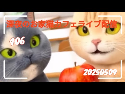 深夜のお家猫カフェライブ配信 406 深夜のお家猫カフェライブ配信 406