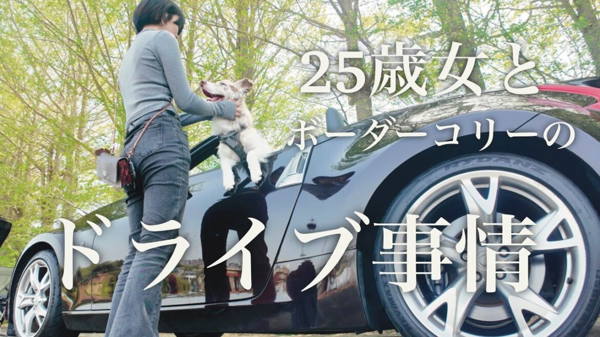 フェアレディZの助手席に乗る愛犬が可愛い・・・｜フェアレディZ34ロードスター｜25歳女性 × ボーダーコリーの日常