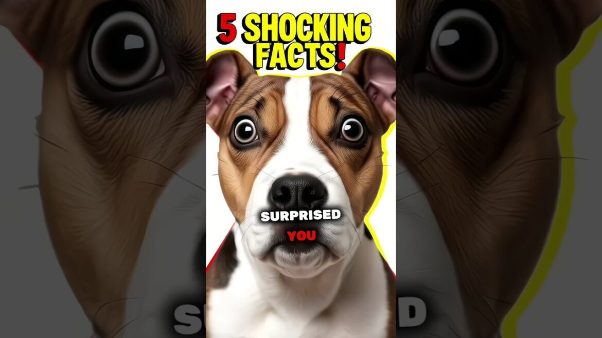 5 Mind-Blowing Facts About Bull Terriers You Never Knew!