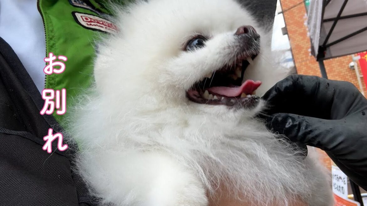 また半年間のお別れです