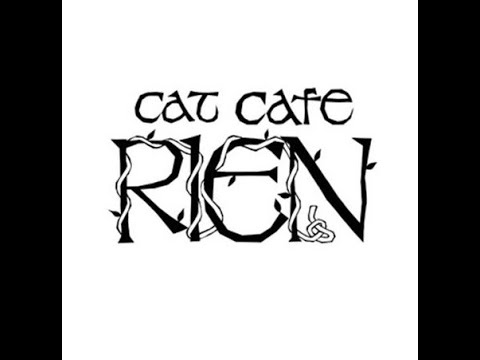 生後10日の赤ちゃんノルウェージャンライブ(ポモ&勘九郎の子猫たち) 生後10日の赤ちゃんノルウェージャンライブ(ポモ&勘九郎の子猫たち)