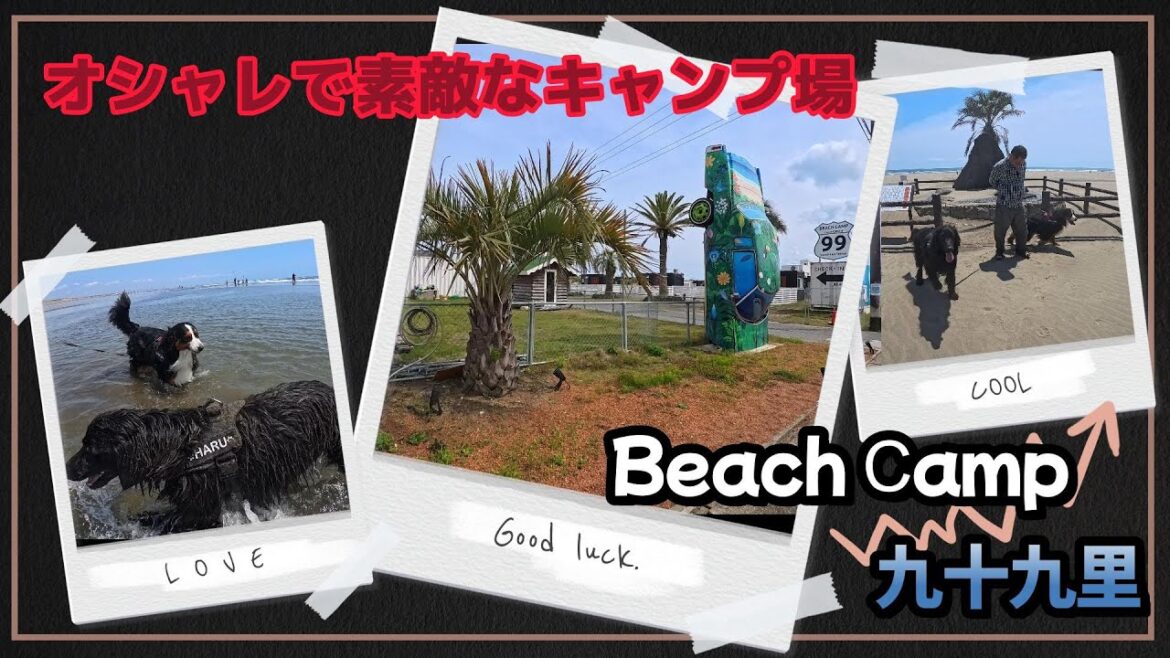 【Beach Ⅽamp九十九里】海で遊んでワンコとキャンプ