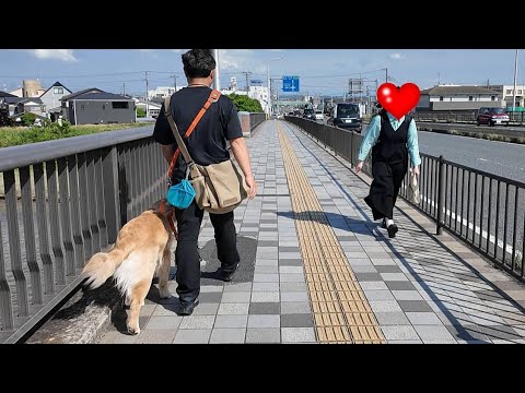 離れて暮らすお姉ちゃんが突然お散歩中にすれ違ったら!【Golden Retriever japan】 離れて暮らすお姉ちゃんが突然お散歩中にすれ違ったら!【Golden Retriever japan】
