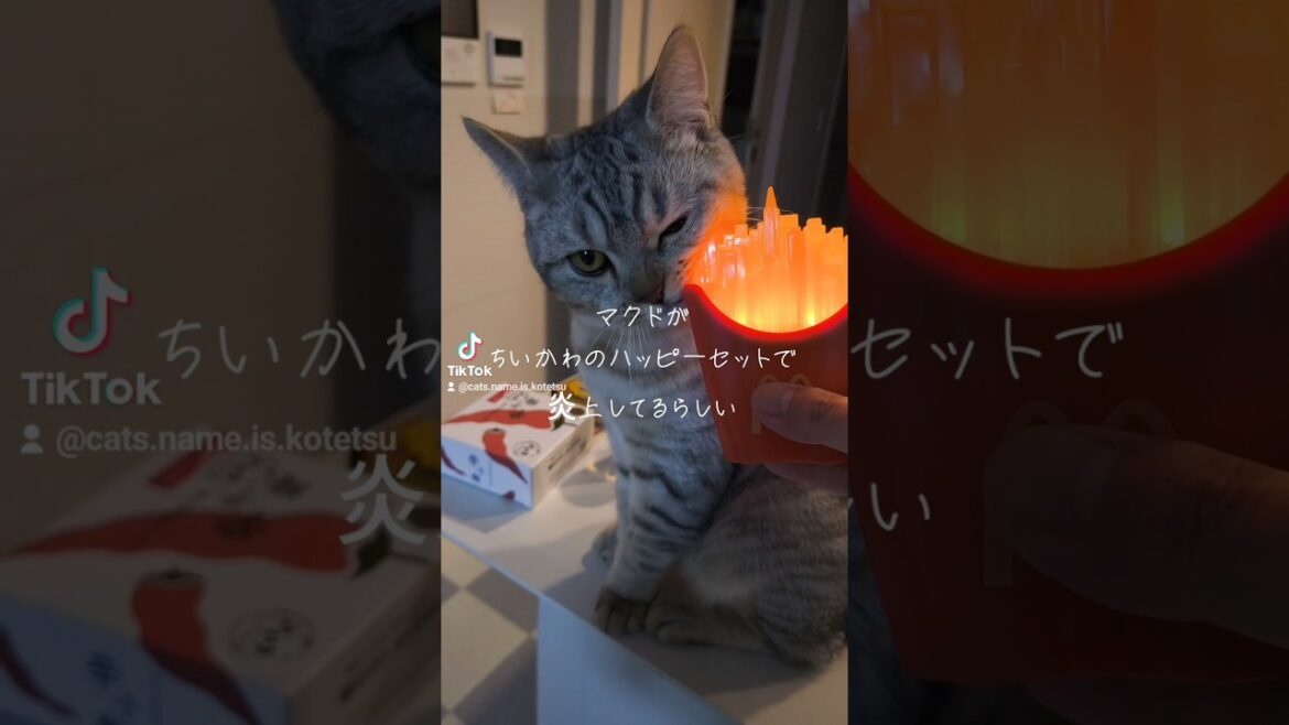 焼きサバとポテト