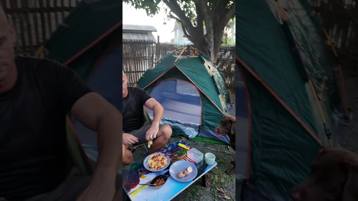 Camping with my Labrador Molly | Zoeta Dogsoul Camping with my Labrador Molly | Zoeta Dogsoul