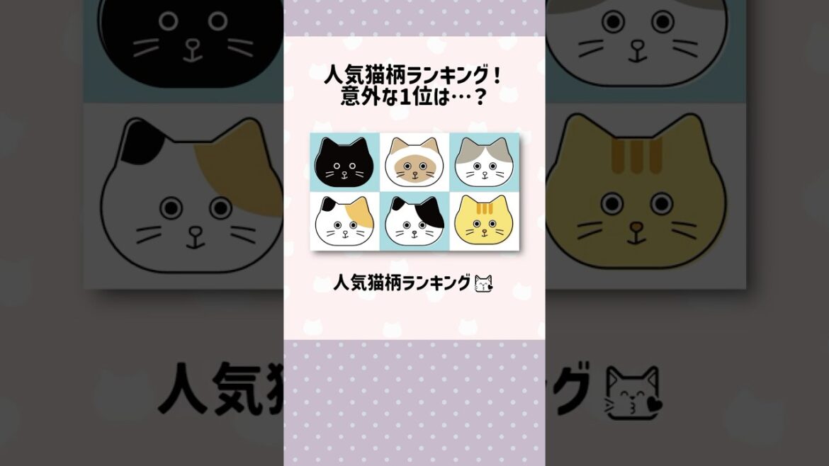 😽人気猫柄ランキング！意外な1位は…？