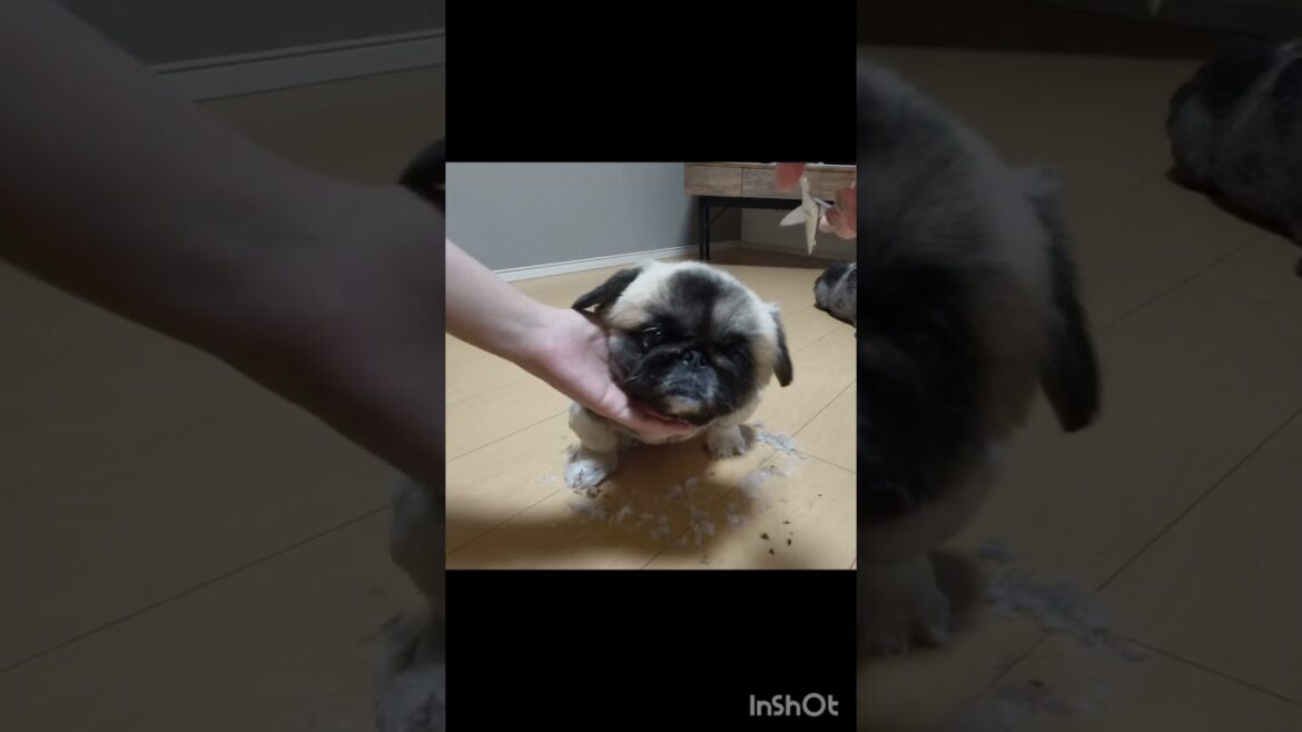 ↑