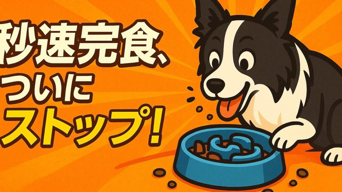 【犬の吐き戻し・食後の不調】もしかして早食いが原因かも?しれない… 【犬の吐き戻し・食後の不調】もしかして早食いが原因かも?しれない…
