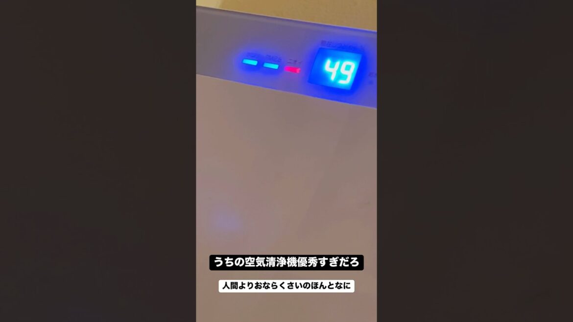 犬がおならして #ボストンテリア 空気清浄機がMAX稼働する瞬間から