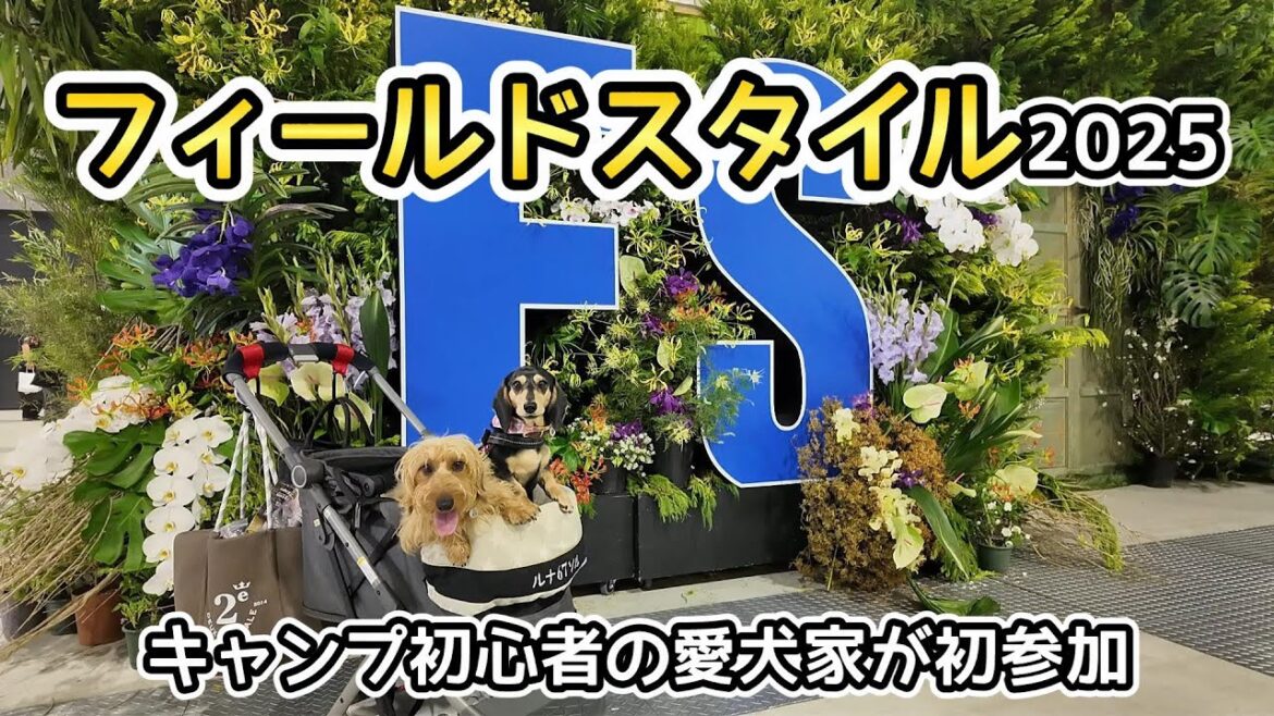 フィールドスタイル2025で、キャンプとSUPの情報収集に付き合わされた【ミニチュアダックスフンド】FIELDSTYLE JAPAN 2025 フィールドスタイル2025で、キャンプとSUPの情報収集に付き合わされた【ミニチュアダックスフンド】FIELDSTYLE JAPAN 2025
