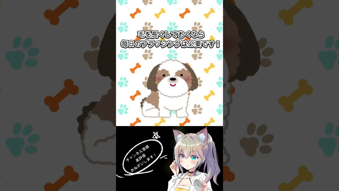 【毎週日曜投稿】しっぽの犬猫図鑑シーズー　#shorts