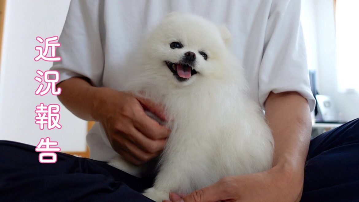 【近況報告】最近の様子と変化について 【近況報告】最近の様子と変化について