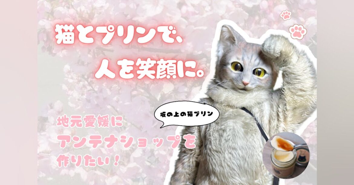 がんと共に歩む店主とアルバイト猫が挑む！念願のアンテナショップを松山に - CAMPFIRE (キャンプファイヤー)